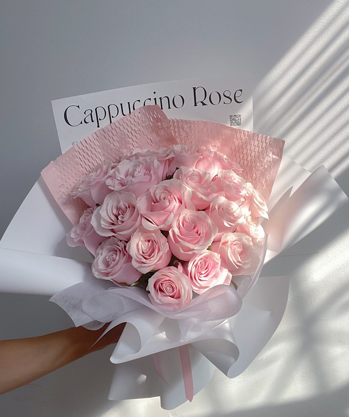 Pink rose