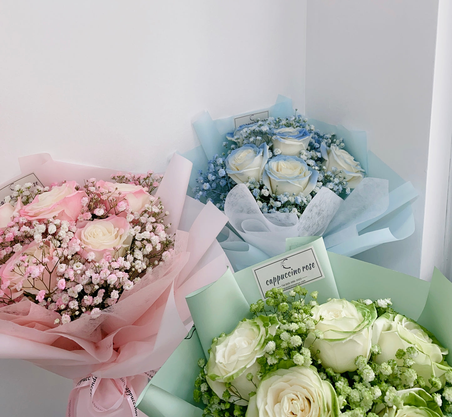 5 rose with baby's breath