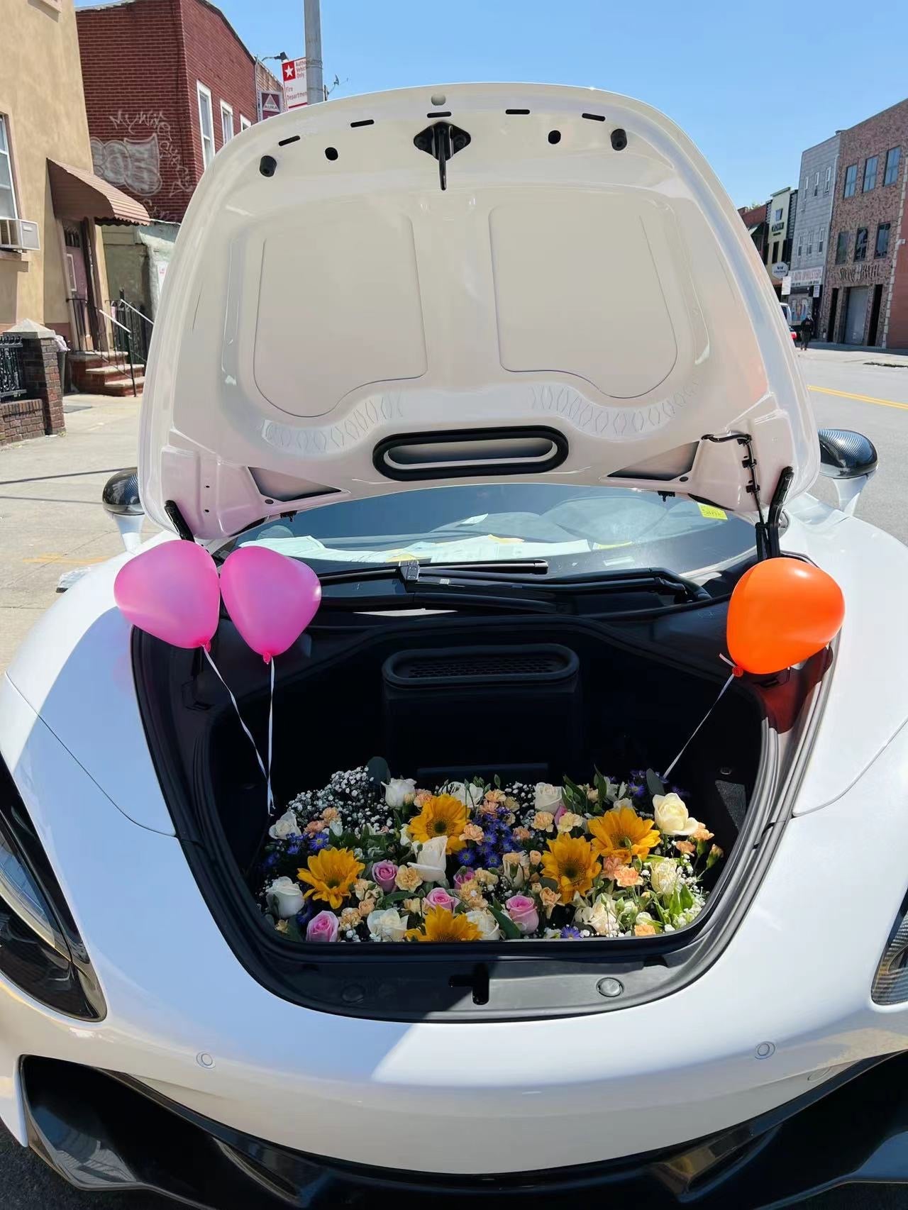 Trunk surprise
