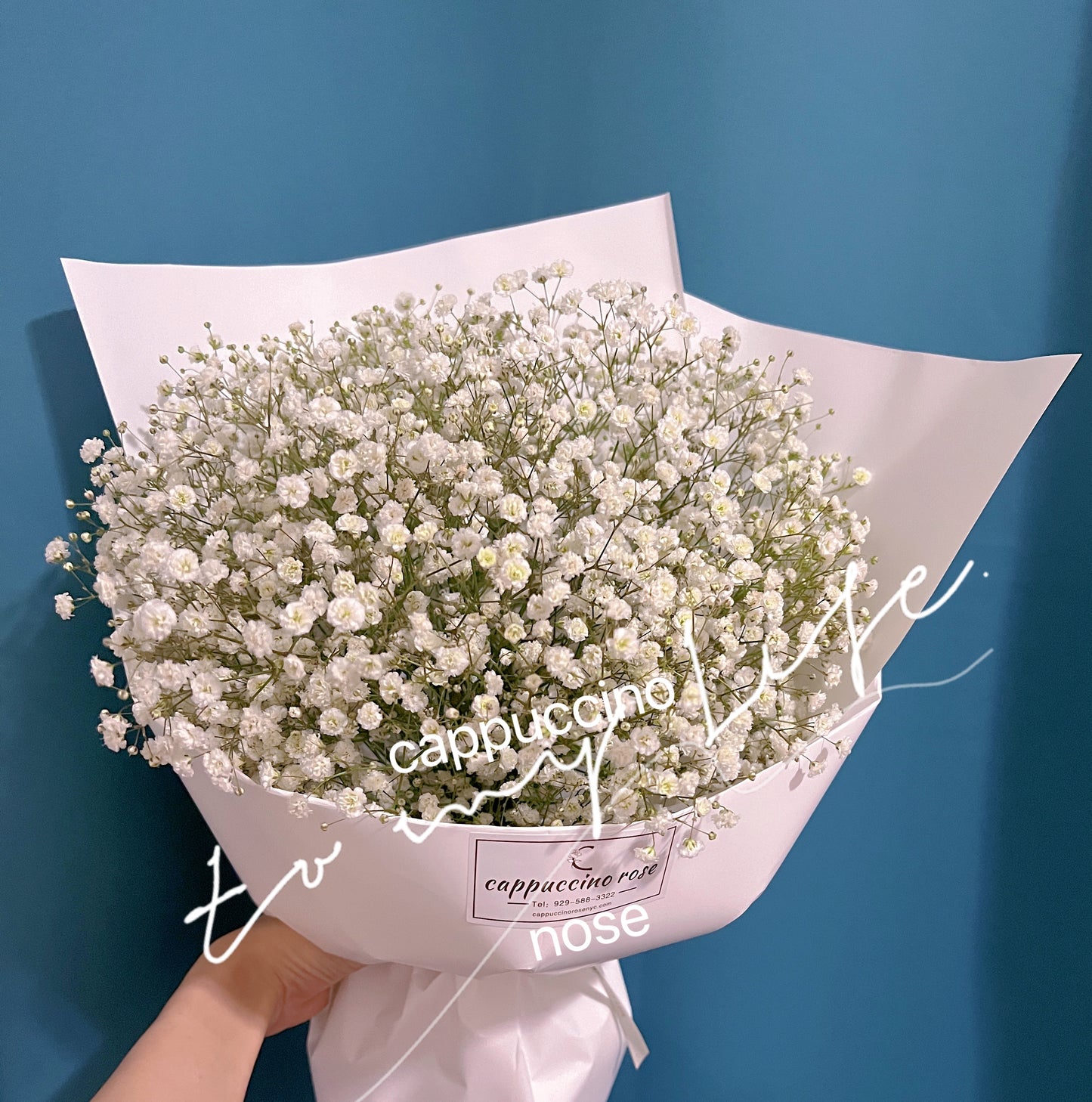 Baby’s Breath