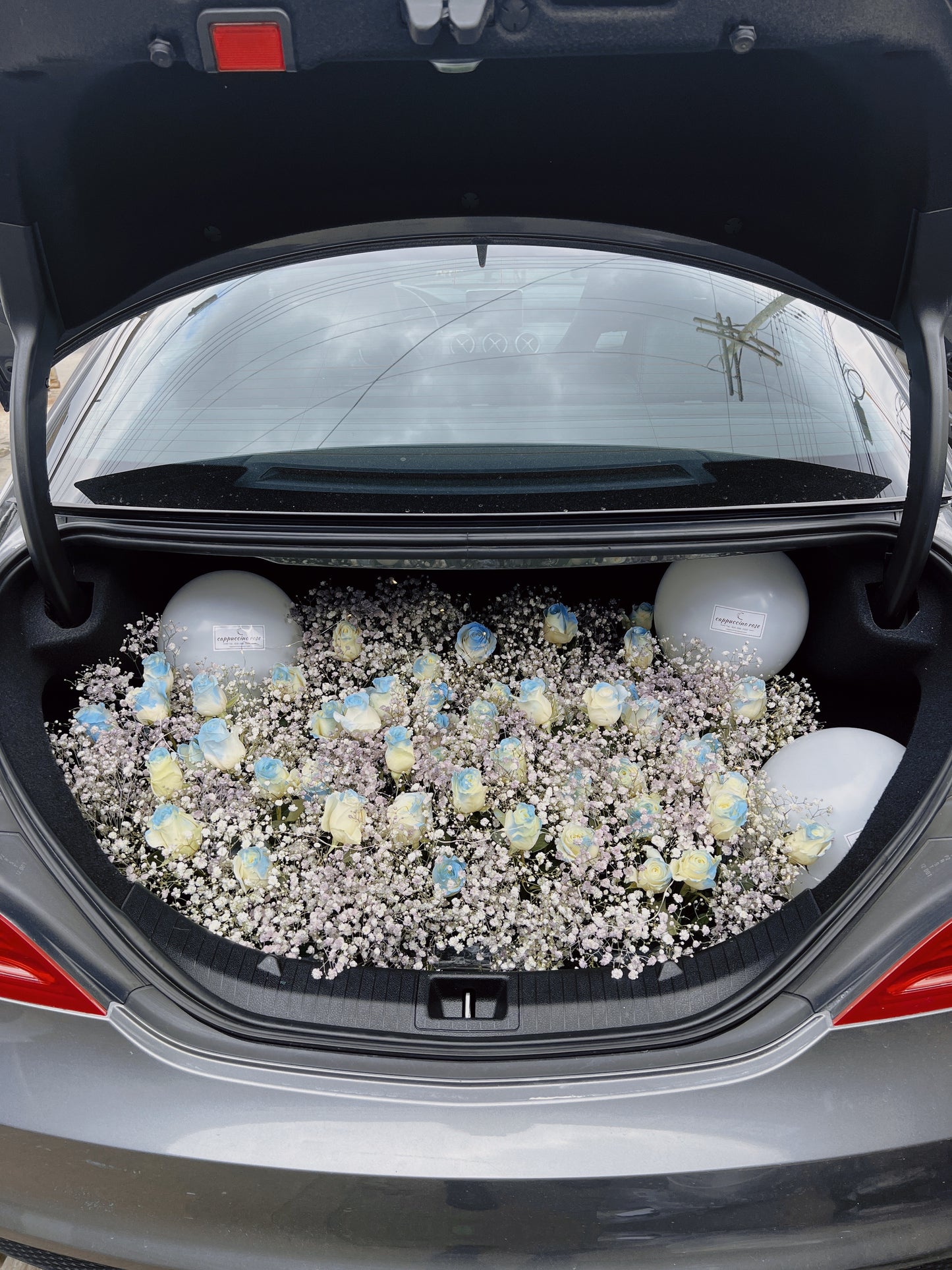 Trunk surprise
