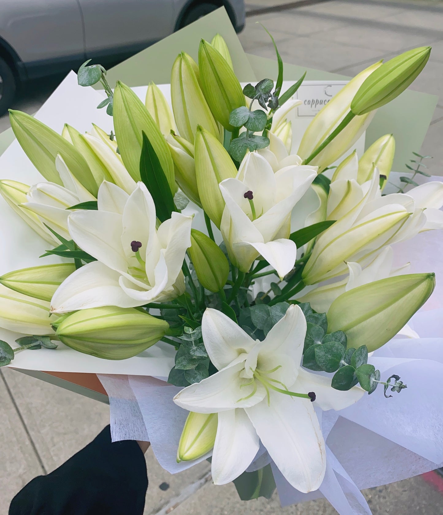 Lily