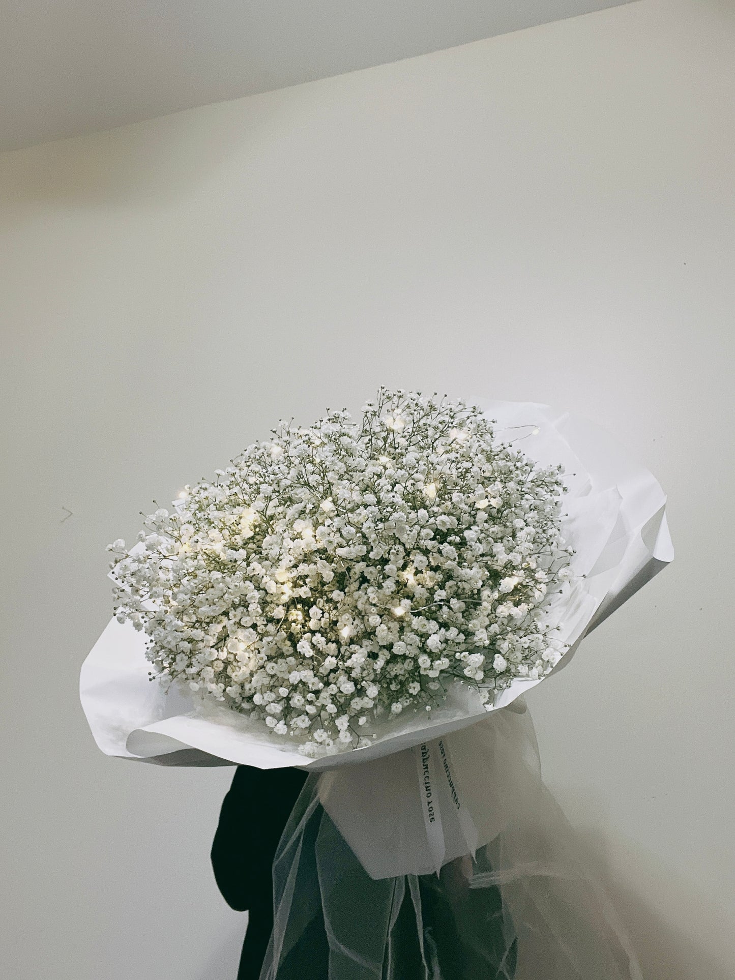 Baby’s Breath