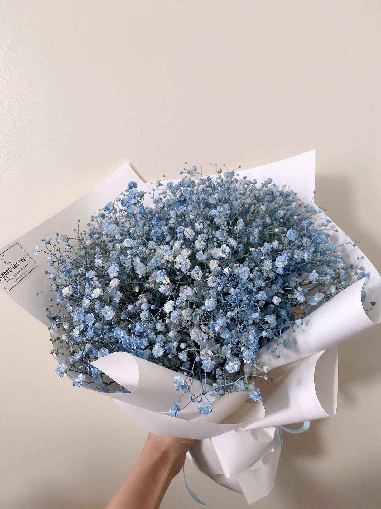 Baby’s Breath Blue