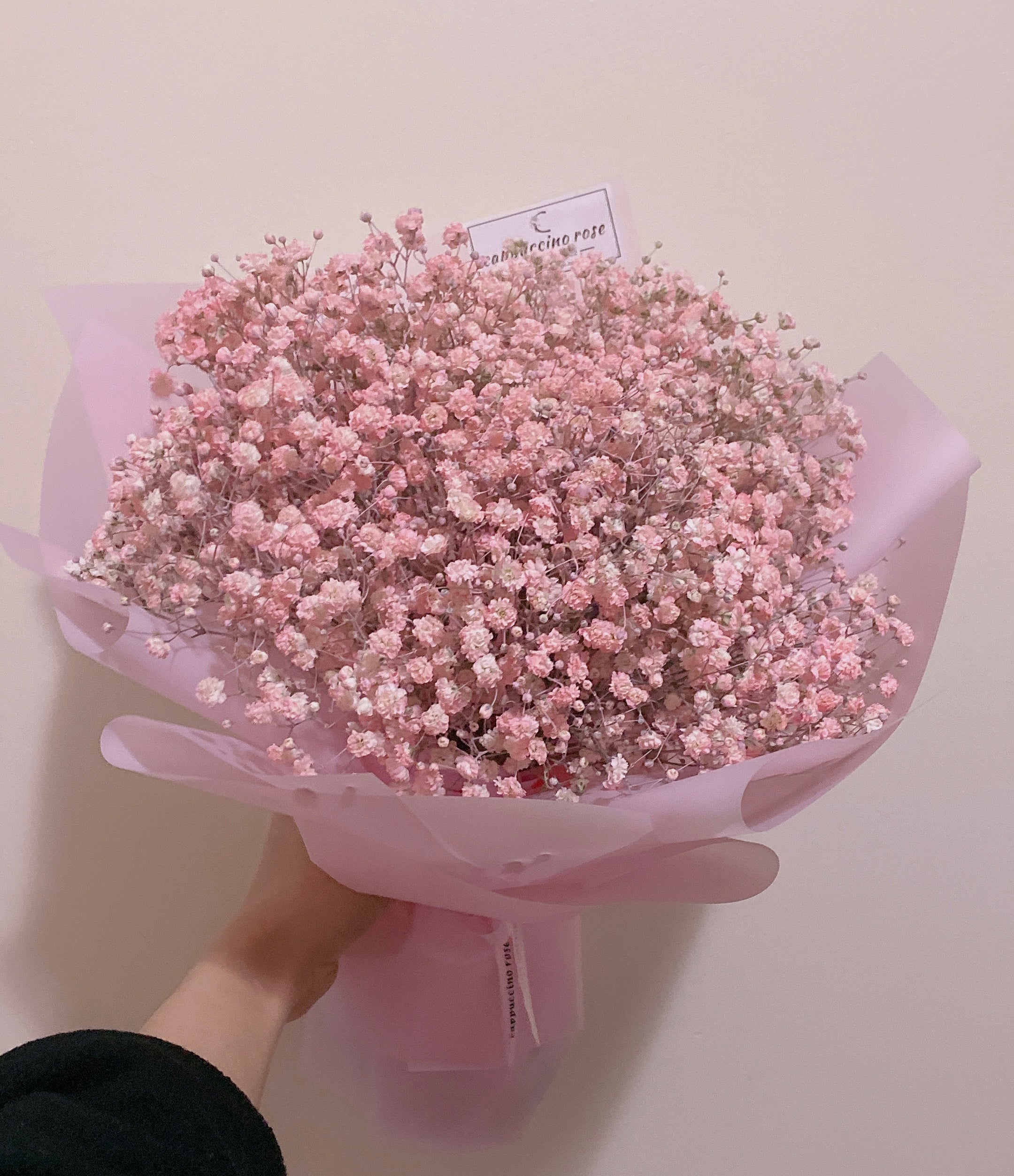 baby's breath♡プロフ要確！ Baby's Breath Pink – cappuccinorosenyc
