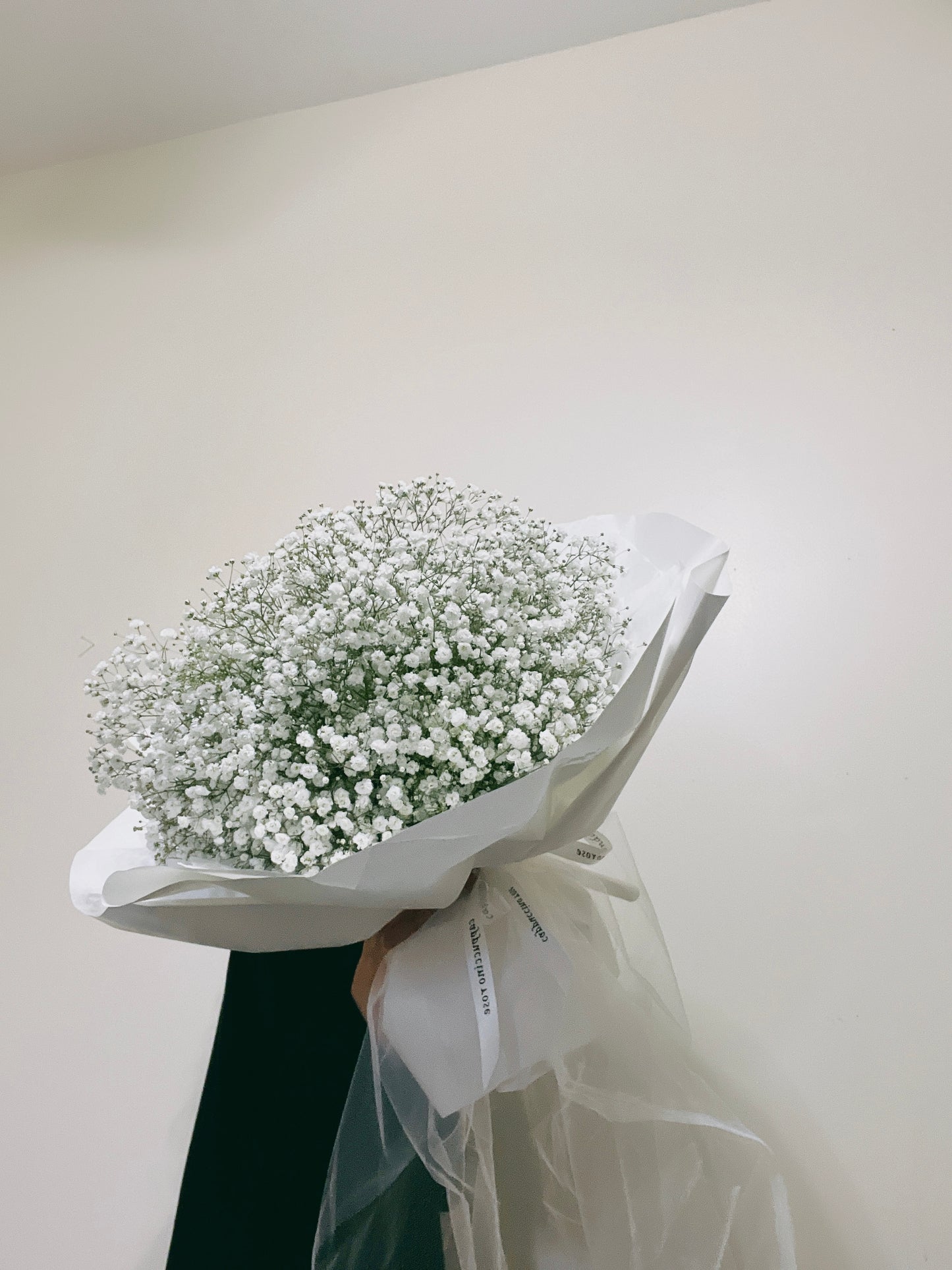 Baby’s Breath
