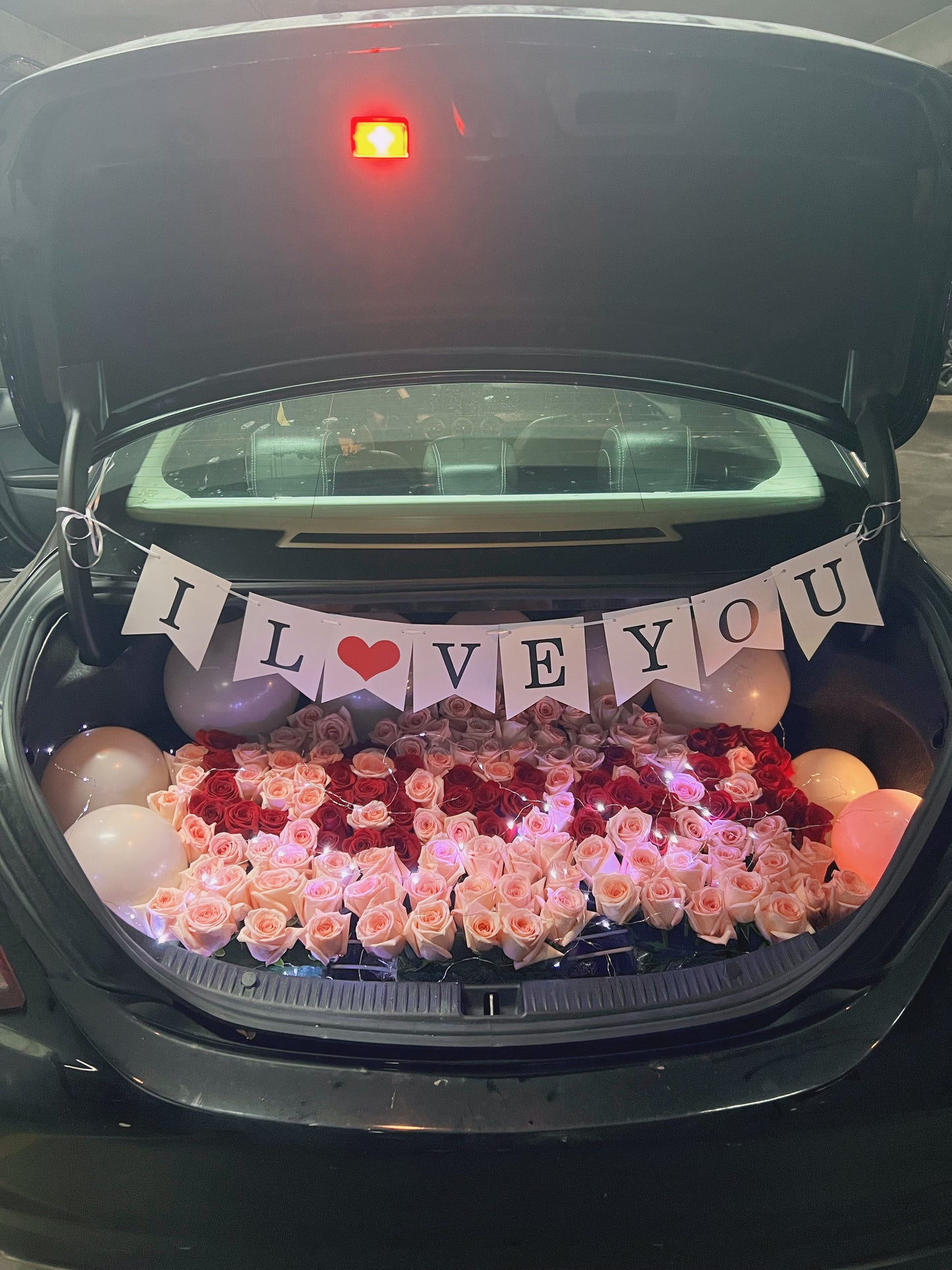 Trunk surprise