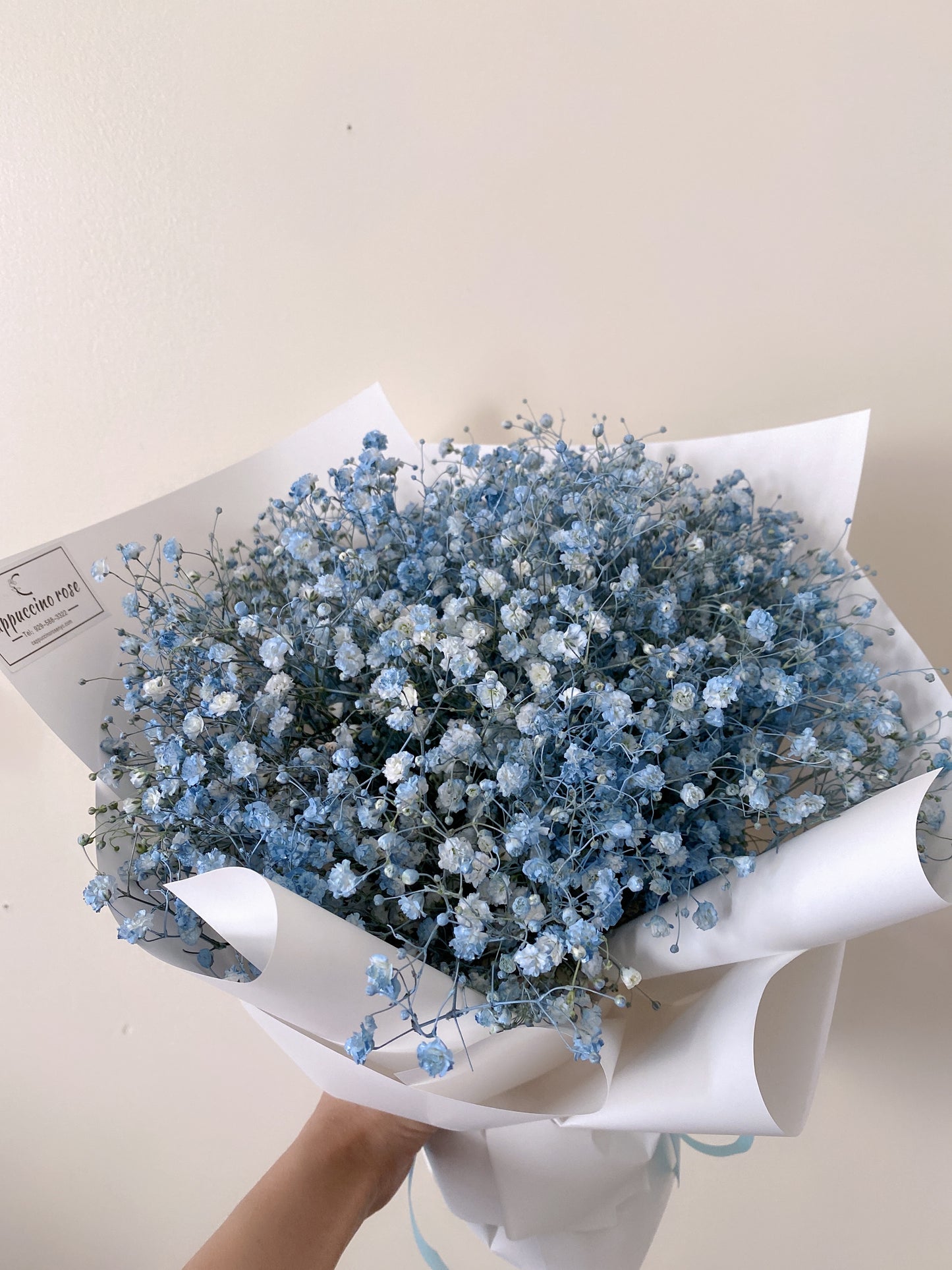 Baby’s Breath Blue