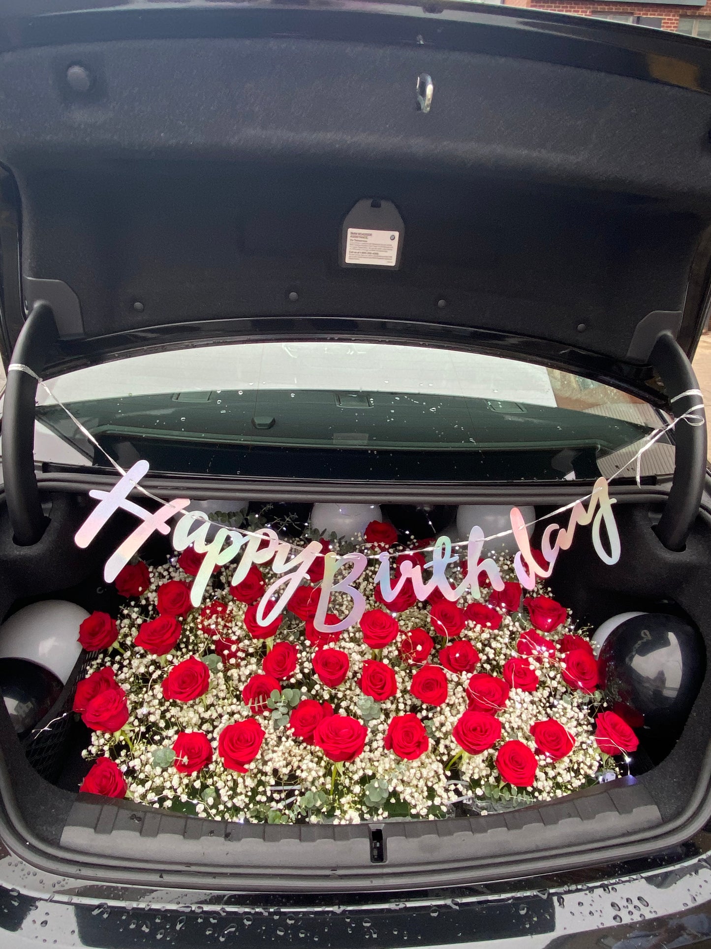 Trunk surprise