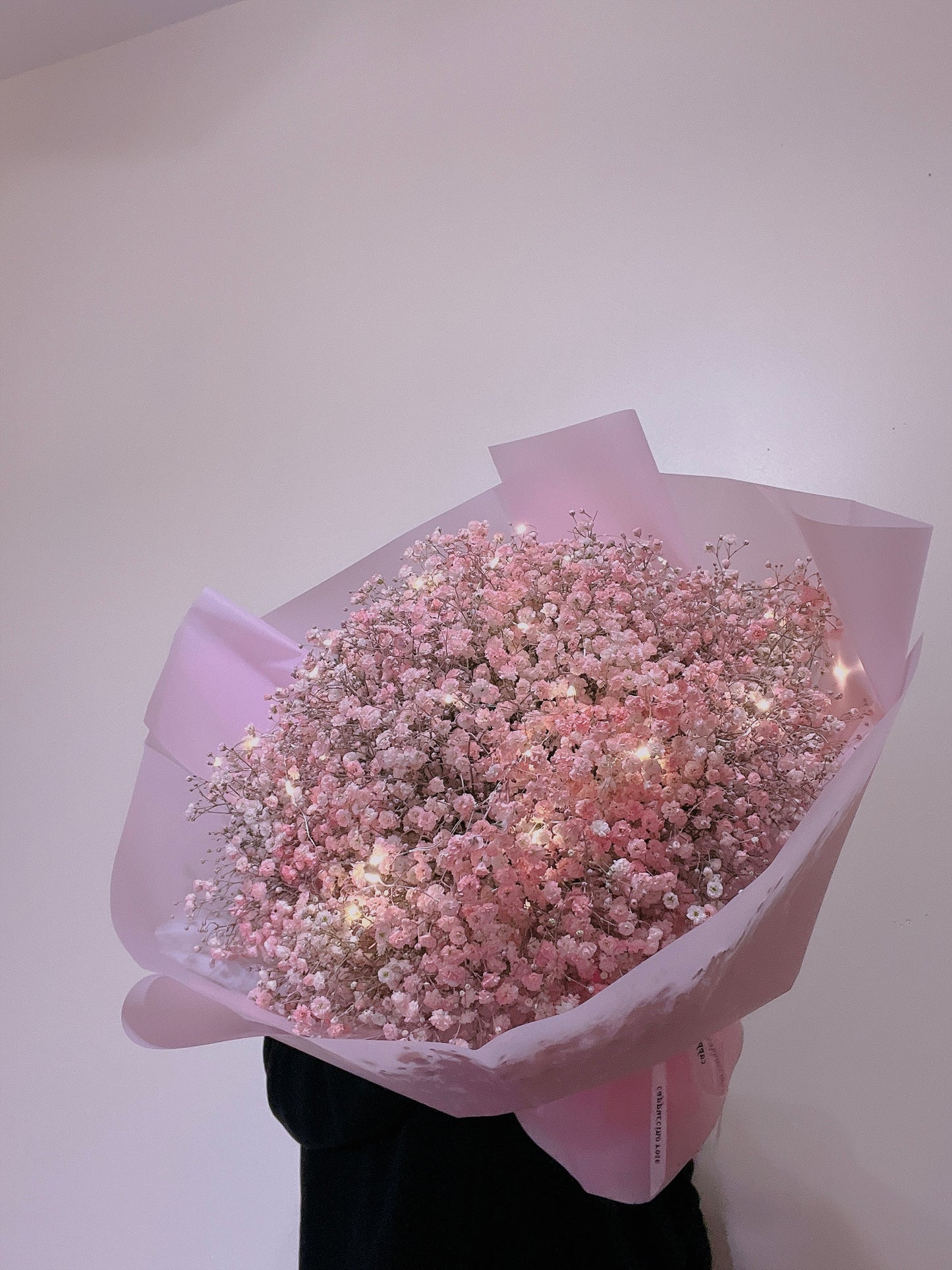 Baby’s Breath Pink