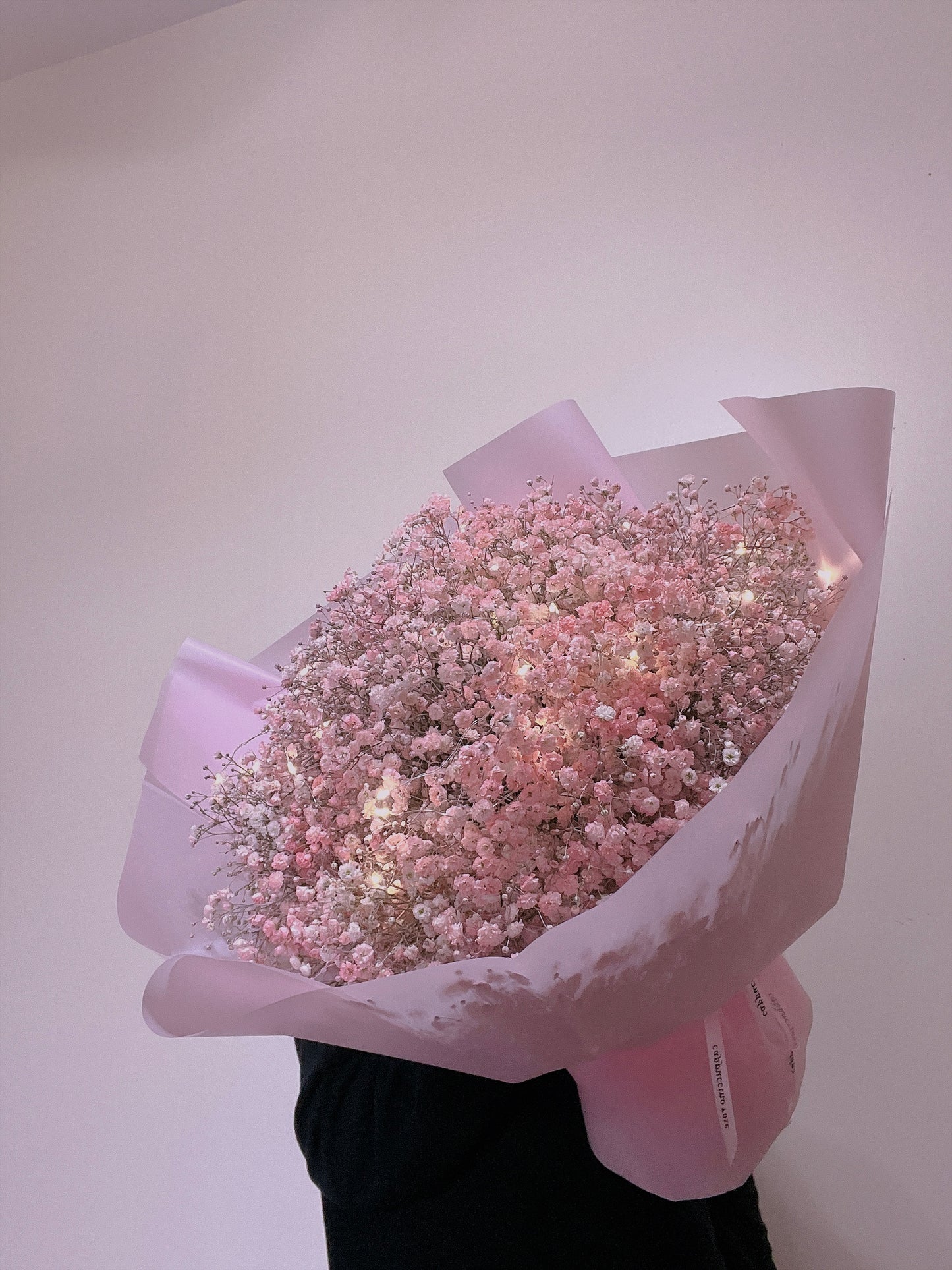 Baby’s Breath Pink