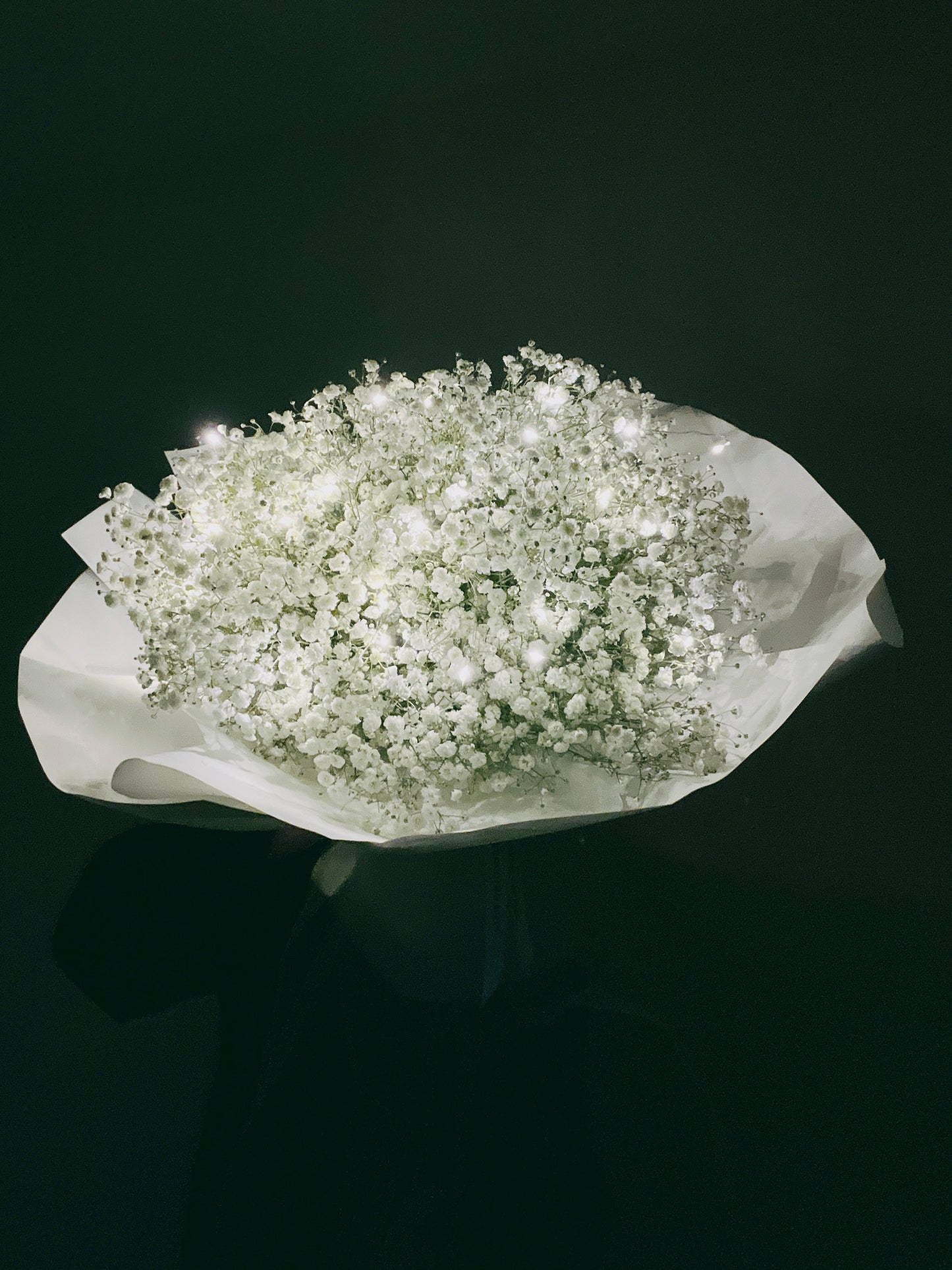 Baby’s Breath