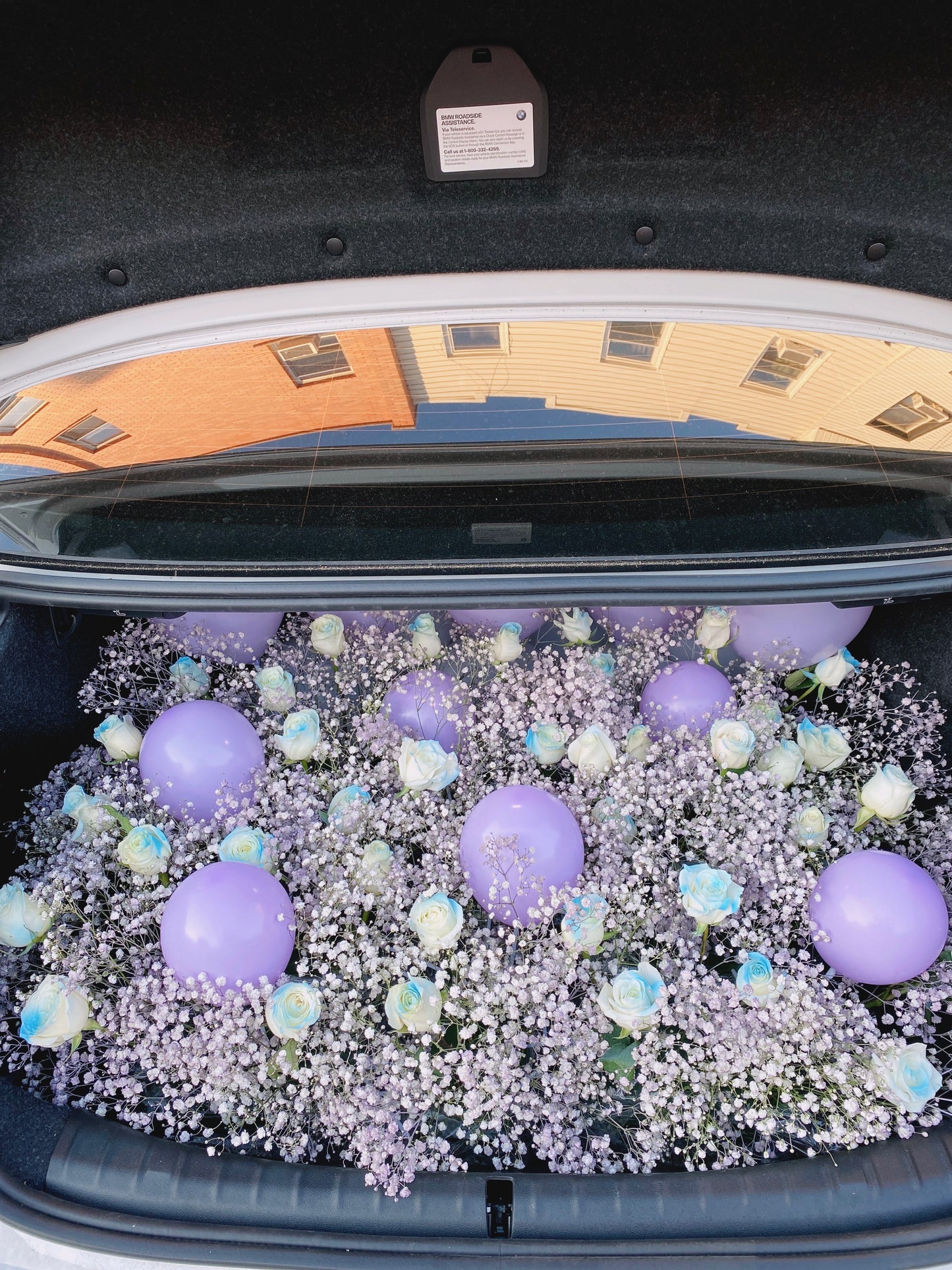 Trunk surprise