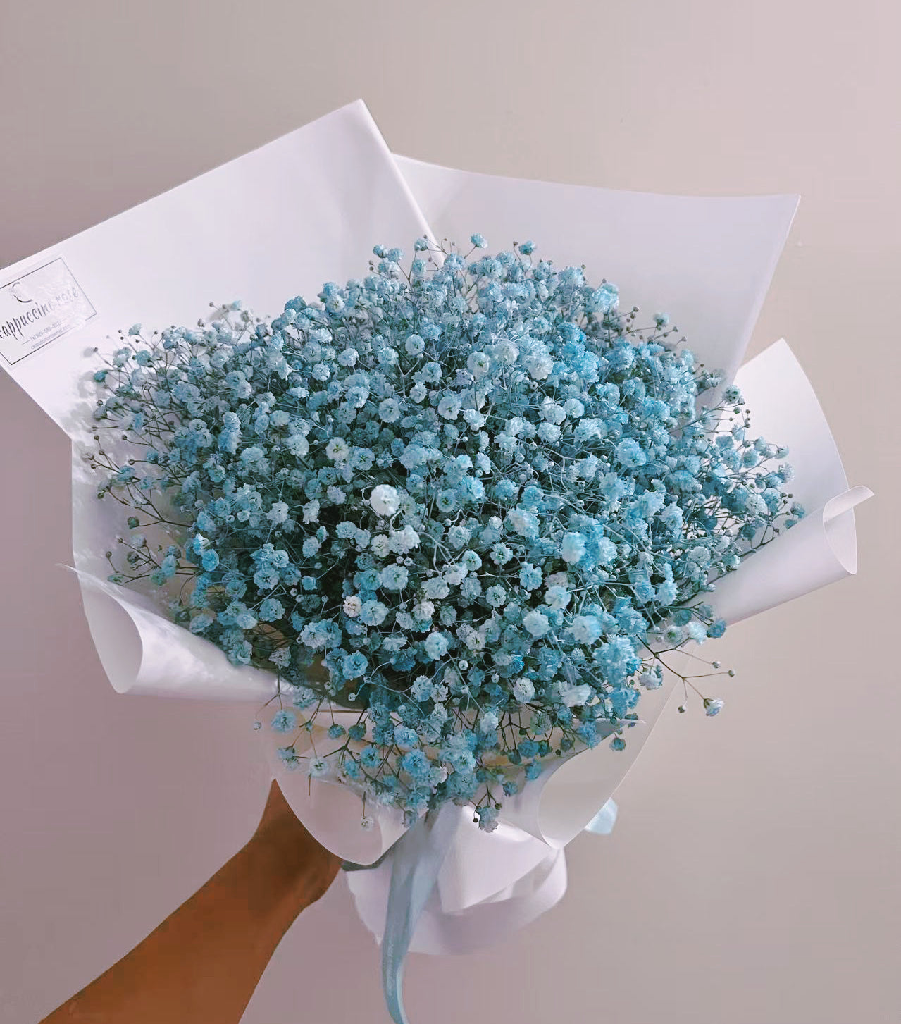 Baby’s Breath Blue