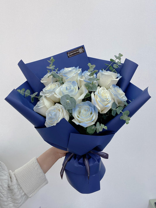 Baby Blue Rose