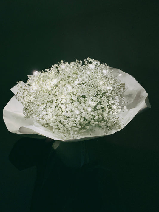Baby’s Breath